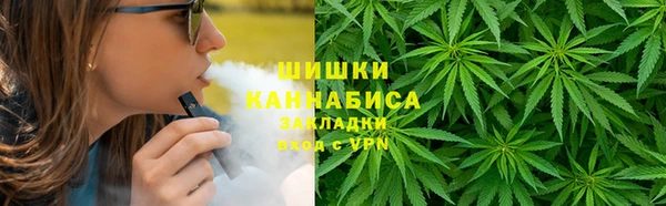 PSILOCYBIN Рославль